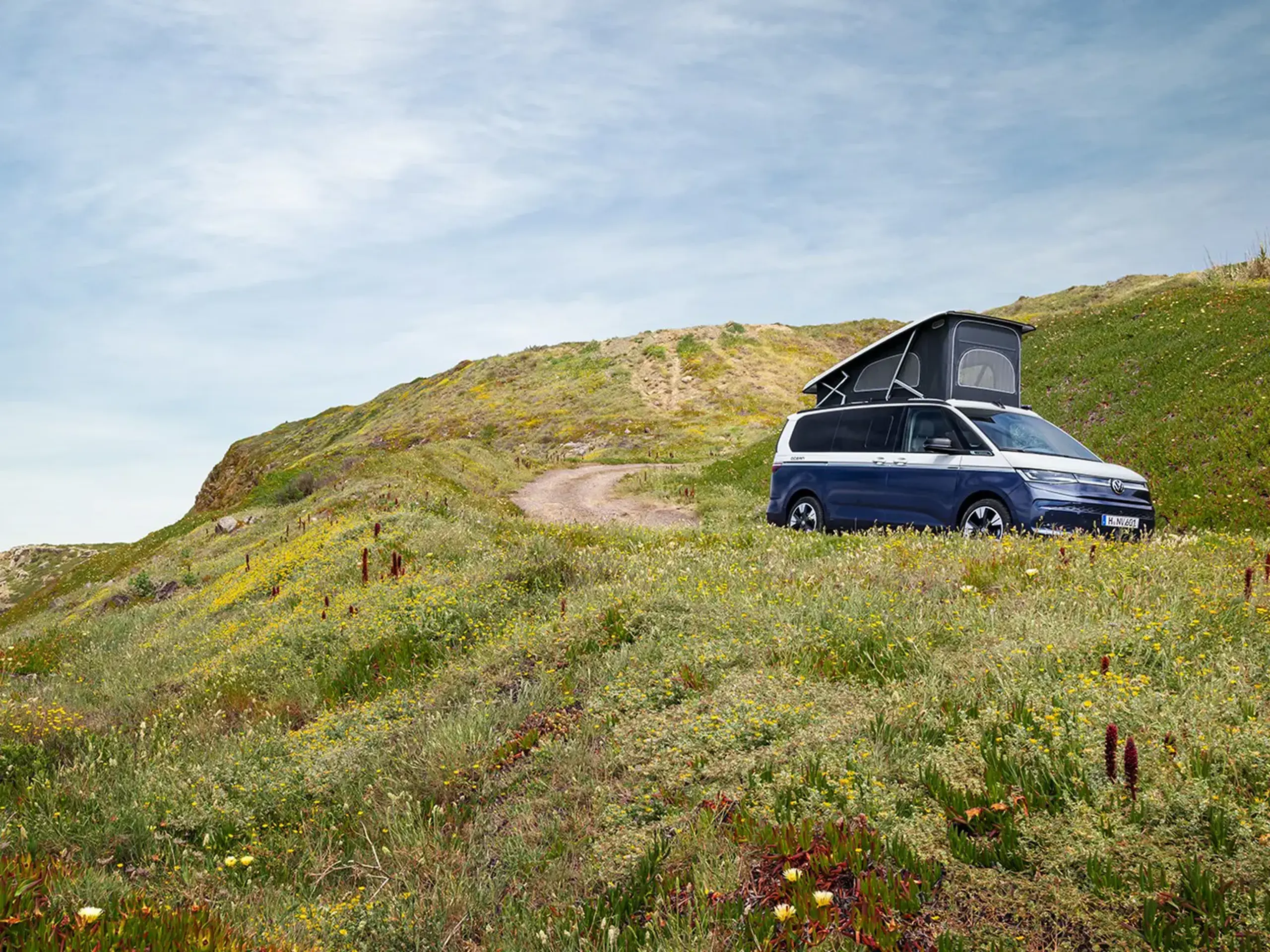 En blå og hvid california holder parkeret på en grusvej omringet af græs